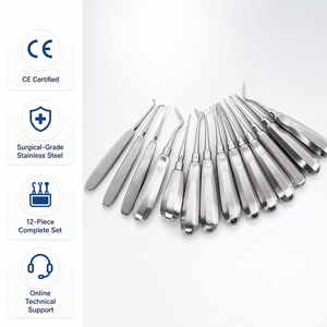 12Pcs Dental Elevators Kit Surgical Grade Stainless Steel Root Lifters