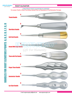 Dental Root Elevator With Adjustable Anatomic Handle Bein Shapes