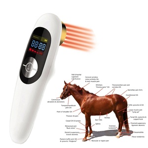 Guangdun Cold Laser Therapy Machine Handheld For Horse